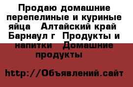 Продаю домашние перепелиные и куриные яйца - Алтайский край, Барнаул г. Продукты и напитки » Домашние продукты   